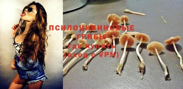 PSILOCYBIN Абинск