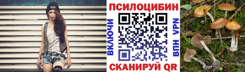 где купить Туапсе Псилоцибиновые грибы Psilocybine cubensis