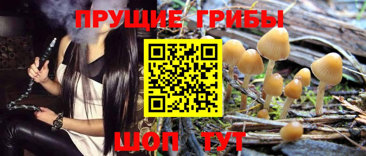 Псилоцибиновые грибы ЛСД Туапсе
